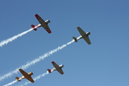 Harvards formation flying. (162Kb jpeg)