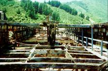 Edwin Fox's lower deck, open to the sky.