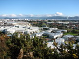 Wellington Harbour at mid-day as the fog lifts.