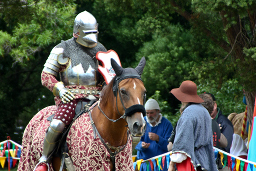 Callum Forbes in full armour, awaiting a lance. (672Kb jpeg)