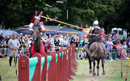 Jousting contact #1. (790Kb jpeg)