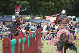 Jousting contact #3. (665Kb jpeg)