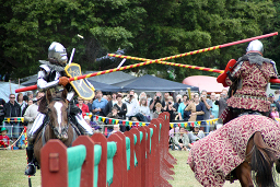 Jousting contact #4. (801Kb jpeg)