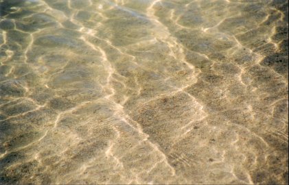 Water and light always make an interesting combination.