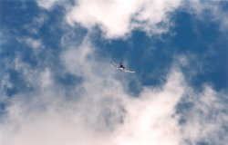 Corsair on a steep dive towards the ground, near the end of this dive the air vents just began to wail as the plane pulled out. (50Kb jpeg)