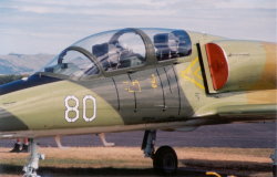 Closeup of the cockpit of an L-39C Albatross Jet. (69Kb jpeg)