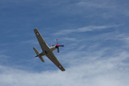 P51 Mustang flying free. (166Kb jpeg)