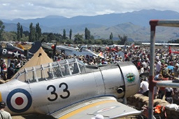 Parked planes and the crowd. (254Kb jpeg)